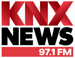 knx-1 knx
